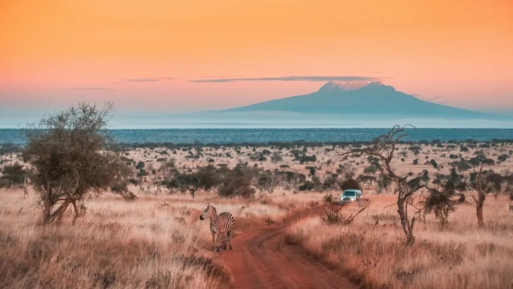 Kenya Beach to Nairobi Safari Tours