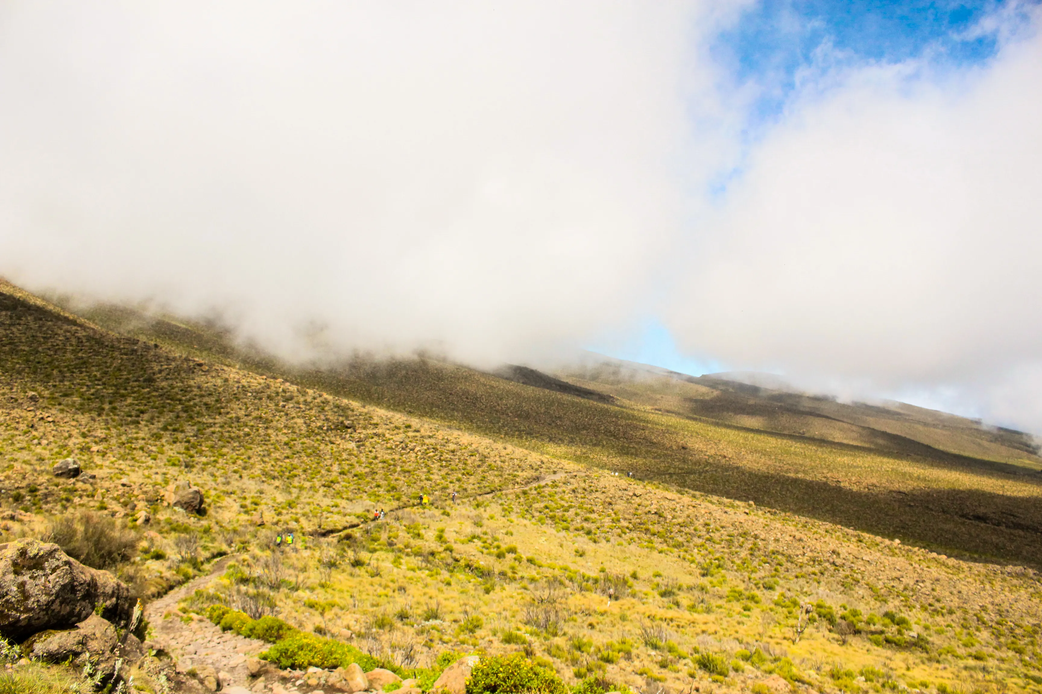 6-Day Mt. Kenya Climb | Sirimon Route Summit Trek
